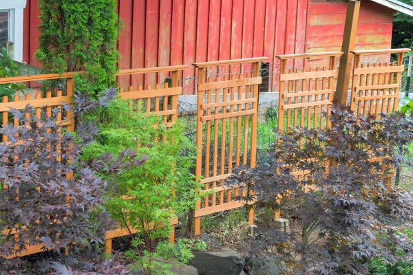 Wood Trellis Mounting